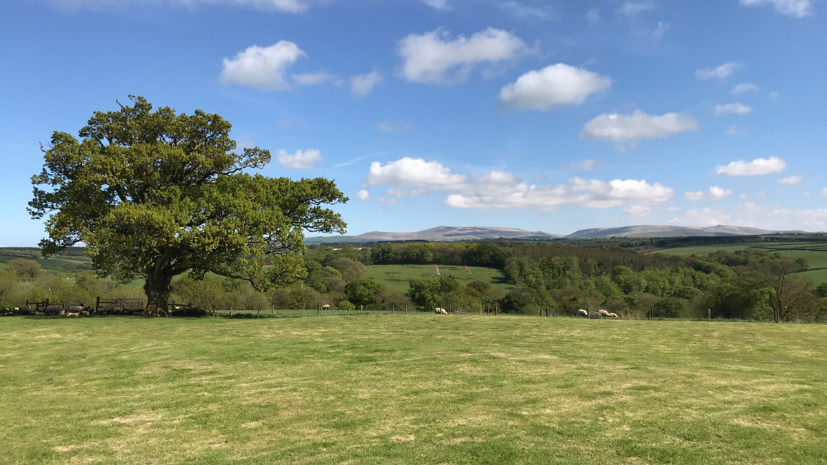 Holsworthy Countryside, Devon